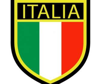 Federazione 意大利 Giuoco Calcio