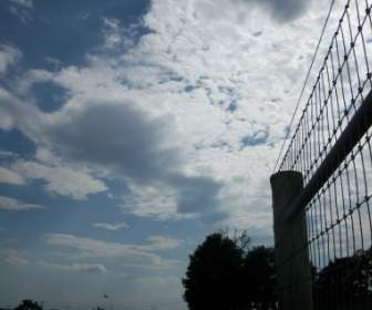Fence And Sky