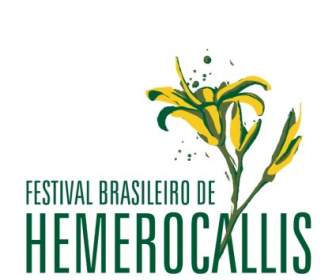 Festival Brasileiro De Emerocallide