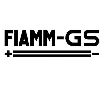 FIAMM-gs