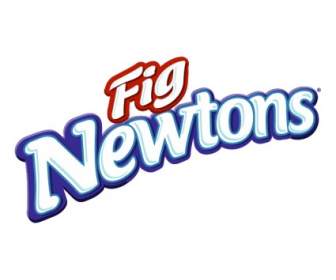 Newton Fico