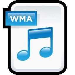 オーディオの Wma をファイルします。