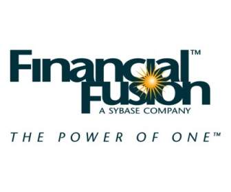 Finanzielle Fusion