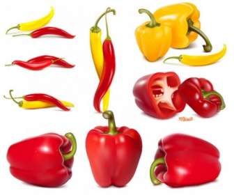 Fine Chili Peppers Vector