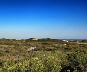 fire island new york sea