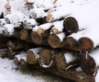 Brennholz Und Schnee
