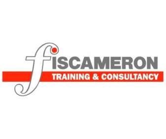 Fiscameron Pelatihan Konsultasi