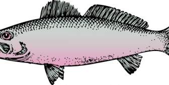 Poisson Clipart