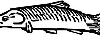 Ikan Clip Art