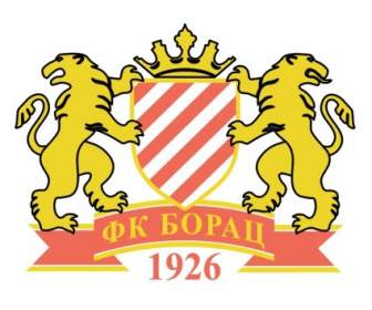 FK Borac Cacak