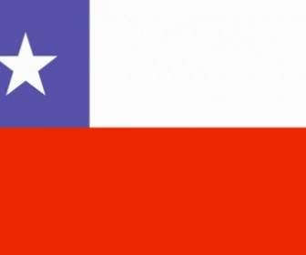 Bandeira Da Arte De Grampo De Chile