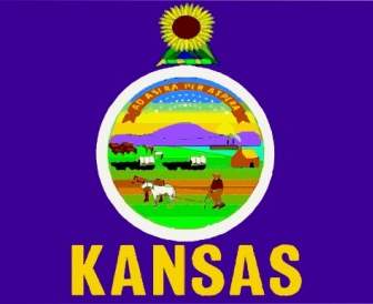 Bandeira Da Arte De Grampo De Kansas