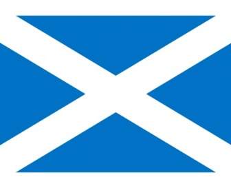 Bandeira Da Arte De Grampo De Escócia