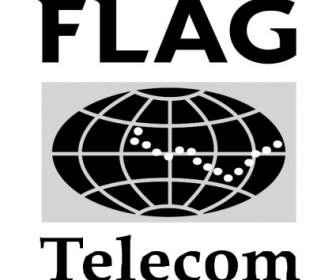 Flag Telecom