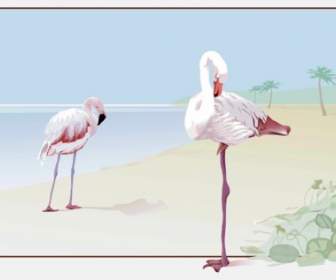 Flamingo Vettoriale