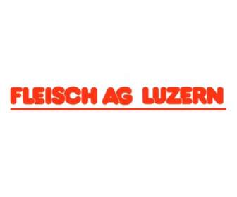 Fleisch Ag ルツェルン