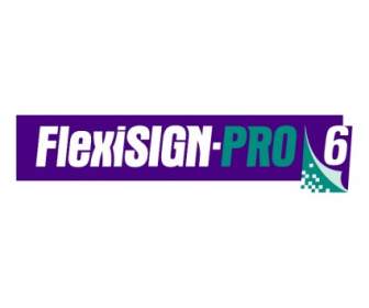 Flexisign 프로