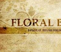 Escova Floral