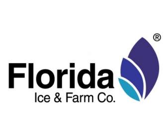 フロリダ州氷ファーム Co