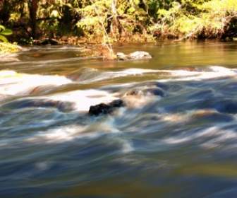 florida stream creek