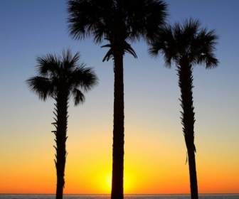 Sunrise In Florida
