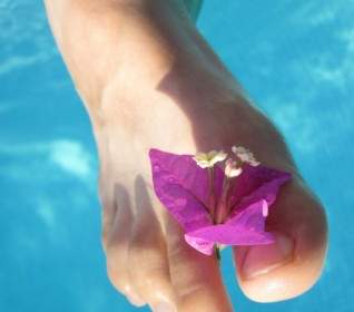 花和腳趾