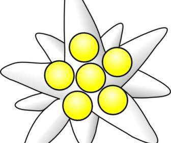 Flower Circles Clip Art