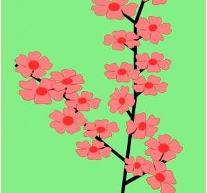 цветок цветы сакуры