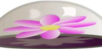 Flower In Glass Paper Weight