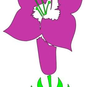 Flower Plant Clip Art