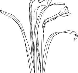 Fleur Plante Tige Bush Clipart