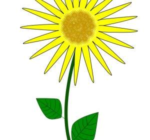 Sunflower Bunga