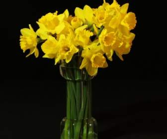 Flower Vase Daffodils Jonquil