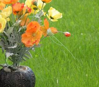 Flower Vase Grass Closeup