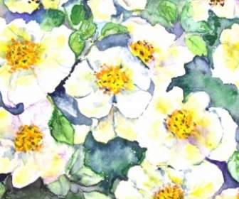 Flowers Nature Painting