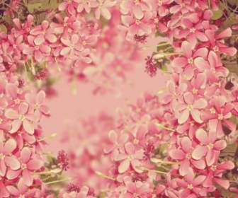 Bunga Pink Tekstur