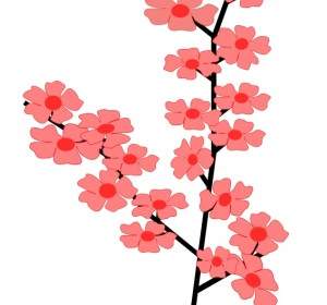 Sakura2 الزهور