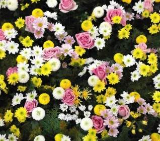 Flowers Texture Flower Carpet