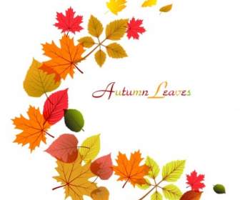 Flowing Autumn Leaves Frame