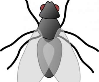 Terbang Bug Serangga Clip Art