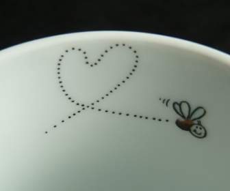 Fly Mosquito Heart