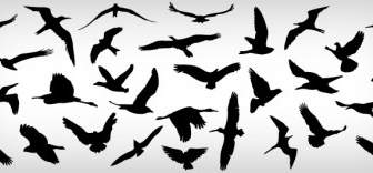 Pássaros Voando