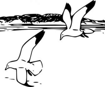 Flying Sea Gulls Clip Art