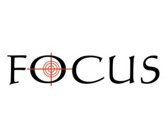 Focus Vdb Associados