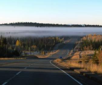Пелена тумана дорога шоссе