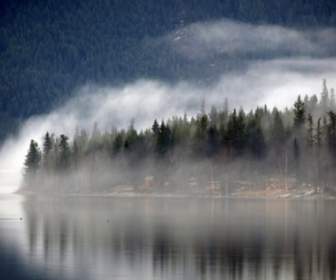 foggy canim lake resort