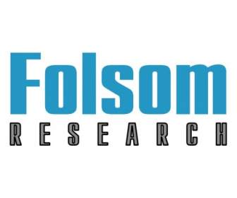 Investigación Folsom