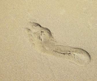 在沙中的足跡
