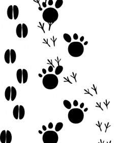 Footprints Clip Art
