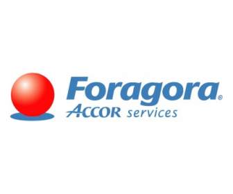 Foragora